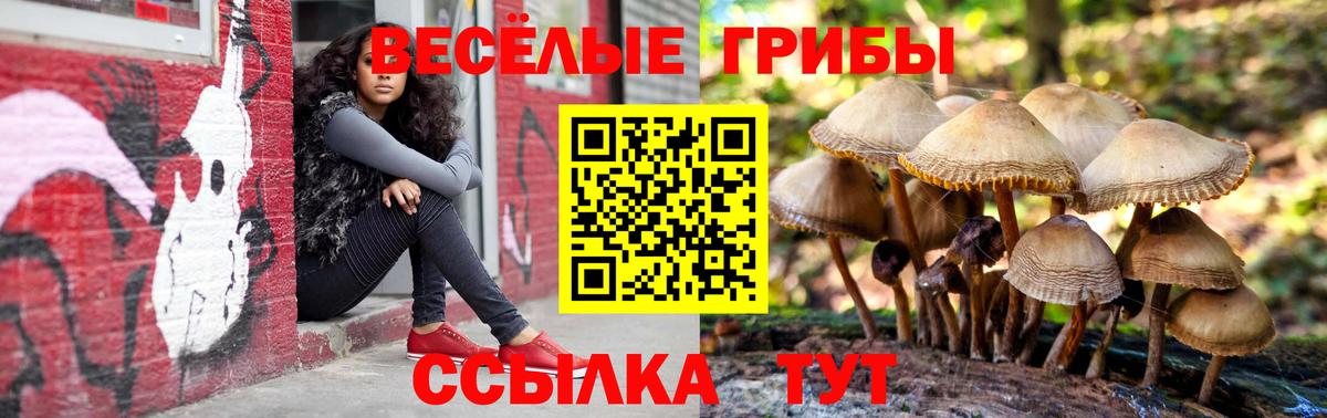Барабинск  Галлюциногенные грибы MAGIC MUSHROOMS  Вход с VPN 
